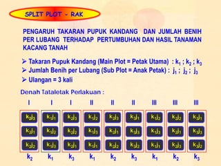 17 rancangan-petak-terbagi-split-plot | PDF