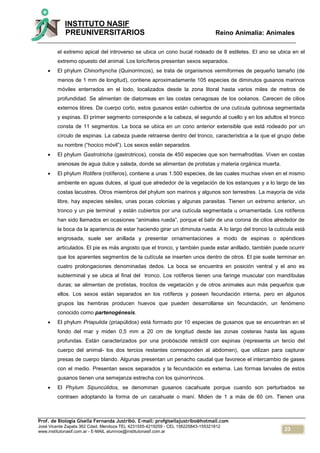 23
INSTITUTO NASIF
PREUNIVERSITARIOS Reino Animalia: Animales
Prof. de Biología Gisella Fernanda Justribó. E-mail: profgisellajustribo@hotmail.com
José Vicente Zapata 362 Cdad. Mendoza TEL 4231555-4219259 - CEL 156225843-155321812
www.institutonasif.com.ar - E-MAIL alumnos@institutonasif.com.ar
el extremo apical del introverso se ubica un cono bucal rodeado de 8 estiletes. El ano se ubica en el
extremo opuesto del animal. Los loricíferos presentan sexos separados.
 El phylum Chinorhyncha (Quinorrincos), se trata de organismos vermiformes de pequeño tamaño (de
menos de 1 mm de longitud), contiene aproximadamente 105 especies de diminutos gusanos marinos
móviles enterrados en el lodo, localizados desde la zona litoral hasta varios miles de metros de
profundidad. Se alimentan de diatomeas en las costas cenagosas de los océanos. Carecen de cilios
externos libres. De cuerpo corto, estos gusanos están cubiertos de una cutícula quitinosa segmentada
y espinas. El primer segmento corresponde a la cabeza, el segundo al cuello y en los adultos el tronco
consta de 11 segmentos. La boca se ubica en un cono anterior extensible que está rodeado por un
círculo de espinas. La cabeza puede retraerse dentro del tronco, característica a la que el grupo debe
su nombre (“hocico móvil”). Los sexos están separados.
 El phylum Gastrotricha (gastrotricos), consta de 450 especies que son hermafroditas. Viven en costas
arenosas de agua dulce y salada, donde se alimentan de protistas y materia orgánica muerta.
 El phylum Rotifera (rotíferos), contiene a unas 1.500 especies, de las cuales muchas viven en el mismo
ambiente en aguas dulces, al igual que alrededor de la vegetación de los estanques y a lo largo de las
costas lacustres. Otros miembros del phylum son marinos y algunos son terrestres. La mayoría de vida
libre, hay especies sésiles, unas pocas colonias y algunas parasitas. Tienen un extremo anterior, un
tronco y un pie terminal y están cubiertos por una cutícula segmentada u ornamentada. Los rotíferos
han sido llamados en ocasiones “animales rueda”, porque el batir de una corona de cilios alrededor de
la boca da la apariencia de estar haciendo girar un diminuta rueda. A lo largo del tronco la cutícula está
engrosada, suele ser anillada y presentar ornamentaciones a modo de espinas o apéndices
articulados. El pie es más angosto que el tronco, y también puede estar anillado, también puede ocurrir
que los aparentes segmentos de la cutícula se inserten unos dentro de otros. El pie suele terminar en
cuatro prolongaciones denominadas dedos. La boca se encuentra en posición ventral y el ano es
subterminal y se ubica al final del tronco. Los rotíferos tienen una faringe muscular con mandíbulas
duras; se alimentan de protistas, trocitos de vegetación y de otros animales aun más pequeños que
ellos. Los sexos están separados en los rotíferos y poseen fecundación interna, pero en algunos
grupos las hembras producen huevos que pueden desarrollarse sin fecundación, un fenómeno
conocido como partenogénesis.
 El phylum Priapulida (priapúlidos) está formado por 10 especies de gusanos que se encuentran en el
fondo del mar y miden 0,5 mm a 20 cm de longitud desde las zonas costeras hasta las aguas
profundas. Están caracterizados por una probóscide retráctil con espinas (representa un tercio del
cuerpo del animal- los dos tercios restantes corresponden al abdomen), que utilizan para capturar
presas de cuerpo blando. Algunas presentan un penacho caudal que favorece el intercambio de gases
con el medio. Presentan sexos separados y la fecundación es externa. Las formas larvales de estos
gusanos tienen una semejanza estrecha con los quinorrincos.
 El Phylum Sipuncúlidos, se denominan gusanos cacahuate porque cuando son perturbados se
contraen adoptando la forma de un cacahuate o maní. Miden de 1 a más de 60 cm. Tienen una
 