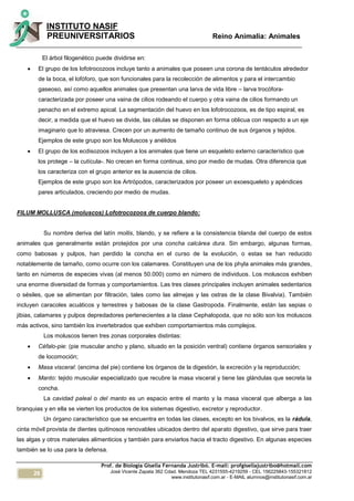 26
INSTITUTO NASIF
PREUNIVERSITARIOS Reino Animalia: Animales
Prof. de Biología Gisella Fernanda Justribó. E-mail: profgisellajustribo@hotmail.com
José Vicente Zapata 362 Cdad. Mendoza TEL 4231555-4219259 - CEL 156225843-155321812
www.institutonasif.com.ar - E-MAIL alumnos@institutonasif.com.ar
El árbol filogenético puede dividirse en:
 El grupo de los lofotrocozoos incluye tanto a animales que poseen una corona de tentáculos alrededor
de la boca, el lofóforo, que son funcionales para la recolección de alimentos y para el intercambio
gaseoso, así como aquellos animales que presentan una larva de vida libre – larva trocófora-
caracterizada por poseer una vaina de cilios rodeando el cuerpo y otra vaina de cilios formando un
penacho en el extremo apical. La segmentación del huevo en los lofotrocozoos, es de tipo espiral, es
decir, a medida que el huevo se divide, las células se disponen en forma oblicua con respecto a un eje
imaginario que lo atraviesa. Crecen por un aumento de tamaño continuo de sus órganos y tejidos.
Ejemplos de este grupo son los Moluscos y anélidos
 El grupo de los ecdisozoos incluyen a los animales que tiene un esqueleto externo característico que
los protege – la cutícula-. No crecen en forma continua, sino por medio de mudas. Otra diferencia que
los caracteriza con el grupo anterior es la ausencia de cilios.
Ejemplos de este grupo son los Artrópodos, caracterizados por poseer un exoesqueleto y apéndices
pares articulados, creciendo por medio de mudas.
FILUM MOLLUSCA (moluscos) Lofotrocozoos de cuerpo blando:
Su nombre deriva del latín mollis, blando, y se refiere a la consistencia blanda del cuerpo de estos
animales que generalmente están protejidos por una concha calcárea dura. Sin embargo, algunas formas,
como babosas y pulpos, han perdido la concha en el curso de la evolución, o estas se han reducido
notablemente de tamaño, como ocurre con los calamares. Constituyen una de los phyla animales más grandes,
tanto en números de especies vivas (al menos 50.000) como en número de individuos. Los moluscos exhiben
una enorme diversidad de formas y comportamientos. Las tres clases principales incluyen animales sedentarios
o sésiles, que se alimentan por filtración, tales como las almejas y las ostras de la clase Bivalvia). También
incluyen caracoles acuáticos y terrestres y babosas de la clase Gastropoda. Finalmente, están las sepias o
jibias, calamares y pulpos depredadores pertenecientes a la clase Cephalopoda, que no sólo son los moluscos
más activos, sino también los invertebrados que exhiben comportamientos más complejos.
Los moluscos tienen tres zonas corporales distintas:
 Céfalo-pie: (pie muscular ancho y plano, situado en la posición ventral) contiene órganos sensoriales y
de locomoción;
 Masa visceral: (encima del pie) contiene los órganos de la digestión, la excreción y la reproducción;
 Manto: tejido muscular especializado que recubre la masa visceral y tiene las glándulas que secreta la
concha.
La cavidad paleal o del manto es un espacio entre el manto y la masa visceral que alberga a las
branquias y en ella se vierten los productos de los sistemas digestivo, excretor y reproductor.
Un órgano característico que se encuentra en todas las clases, excepto en los bivalvos, es la rádula,
cinta móvil provista de dientes quitinosos renovables ubicados dentro del aparato digestivo, que sirve para traer
las algas y otros materiales alimenticios y también para enviarlos hacia el tracto digestivo. En algunas especies
también se lo usa para la defensa.
 