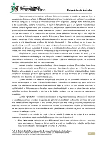 27
INSTITUTO NASIF
PREUNIVERSITARIOS Reino Animalia: Animales
Prof. de Biología Gisella Fernanda Justribó. E-mail: profgisellajustribo@hotmail.com
José Vicente Zapata 362 Cdad. Mendoza TEL 4231555-4219259 - CEL 156225843-155321812
www.institutonasif.com.ar - E-MAIL alumnos@institutonasif.com.ar
Sistema circulatorio: consiste en un órgano de bombeo muscular, el corazón, y vasos que llevan la
sangre desde el corazón y hacia él. El corazón habitualmente tiene tres cámaras: dos aurículas reciben sangre
desde las branquias y el ventrículo la bombea a los otros tejidos corporales. La sangre de los moluscos, como
la de los artrópodos, contiene hemocianina, en lugar de hemoglobina, que es un pigmento respiratorio que
contiene cobre en lugar de hierro, y es de color azul. A excepción de los cefalópodos, los moluscos poseen lo
que se conoce como circulación abierta y lacunar. La sangre no circula completamente dentro de los vasos
sino que es bombeada por el corazón hacia los espacios que se encuentran entre los tejidos, pasa luego por
las branquias y finalmente retorna al corazón. Este espacio lleno de sangre se conoce como hemocele
(cavidad sanguínea). En los moluscos, el hemocele reemplaza en gran medida al celoma, que ha quedado
reducido a una pequeña área alrededor del corazón (pericardio) y a las cavidades de los órganos de
reproducción y excreción. Los cefalópodos, cuyas enérgicas actividades requieren que las células estén bien
abastecidas con grandes cantidades de oxígeno y de moléculas alimenticias, tienen un sistema circulatorio
cerrado, con vasos continuos y corazones accesorios que impulsan la sangre a través de las branquias.
Respiración: El oxígeno entra al cuerpo de un molusco a través de la superficie del manto y de las
branquias directamente desde el agua. Una branquia es una estructura externa provista de un área superficial
considerable, a través de la cual pueden difundir los gases; posee una abundante irrigación de sangre que
transporta los gases hacia el resto del cuerpo y desde él.
Aparato digestivo: es extensamente ciliado y tiene áreas con funciones diferenciadas; tienen boca,
esófago, estómago, intestino y ano. El alimento es captado y digerido por las células que revisten las glándulas
digestivas y luego pasa a la sangre. Los materiales no digeridos son comprimidos en pequeñas bolas fecales
cubiertas de mucosidad que luego son expulsadas a través del ano que desemboca en la cavidad paleal y
arrastradas lejos del animal por las corrientes de agua.
Aparato excretor: Los desechos nitrogenados producidos por las actividades metabólicas de las
células son eliminados por una o dos estructuras tubulares conocidas como metanefridios, estas estructuras
poseen una abertura que se encuentra en el celoma que rodea al corazón y la otra abertura se abre en la
cavidad paleal; el fluido celómico es forzado a pasar a través del túbulo, el agua, el azúcar, las sales y otros
materiales atraviesan las paredes y retornan a los tejidos, en tanto que los productos de desecho son
excretados.
Aparato reproductor: Tienen sexos separados en la mayoría de los casos y la fecundación ocurre en
el hábitat acuoso en que viven (son ovulíparos). La gran mayoría de ellos en su desarrollo atraviesan por uno o
más estados larvarios: el primero es la larva trocófera, larva de vida libre, ciliada y nadadora (característica de
moluscos y anélidos; en casi todos los moluscos esta larva se convierte en larva velígera, que tiene concha y
pie (exclusiva de los moluscos). Los caracoles de tierra (género Hélix) o caracoles de jardín, son hermafroditas
y realizan fecundación cruzada.
En cuanto a su división por clase podemos describir 7 clases, de las cuales 4 son bastante
pequeñas, y daremos una breve reseña y hablaremos un poco más de las otras 3.
 Clase Aplacophora (aplacóforos): unas 250 especies de animales marinos vermiformes – conocidos
como solenogastros. Aunque no tienen concha y su pie es notablemente reducido, se identifican
inequívocamente como moluscos por la presencia de una rádula.
 