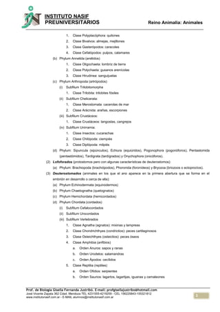 3
INSTITUTO NASIF
PREUNIVERSITARIOS Reino Animalia: Animales
Prof. de Biología Gisella Fernanda Justribó. E-mail: profgisellajustribo@hotmail.com
José Vicente Zapata 362 Cdad. Mendoza TEL 4231555-4219259 - CEL 156225843-155321812
www.institutonasif.com.ar - E-MAIL alumnos@institutonasif.com.ar
1. Clase Polyplacóphora: quitones
2. Clase Bivalvos: almejas, mejillones
3. Clase Gasterópodos: caracoles
4. Clase Cefalópodos: pulpos, calamares
(b) Phylum Annelida (anélidos)
1. Clase Oligochaeta: lombriz de tierra
2. Clase Polychaeta: gusanos arenícolas
3. Clase Hirudinea: sanguijuelas
(c) Phylum Arthropoda (artrópodos)
(i) Subfilum Trilobitomorpha
1. Clase Trilobita: trilobites fósiles
(ii) Subfilum Chelicerata:
1. Clase Merostomata: cacerolas de mar
2. Clase Arácnida: arañas, escorpiones
(iii) Subfilum Crustáceos:
1. Clase Crustáceos: langostas, cangrejos
(iv) Subfilum Unirramia:
1. Clase Insectos: cucarachas
2. Clase Chilópoda: ciempiés
3. Clase Diplópoda: milpiés
(d) Phylum: Sipuncula (sipúnculos), Echiura (equiúridos), Pogonophora (pogonóforos), Pentastomida
(pentastómidos), Tardigrata (tardígrados) y Onychophora (onicóforos).
(2) Lofoforados (protostomos pero con algunas características de deuterostomos):
(a) Phylum: Brachiopoda (brachiópodos), Phoronida (foronídeos) y Bryozoa (briozoos o ectoproctos).
(3) Deuterostomados (animales en los que el ano aparece en la primera abertura que se forma en el
embrión en desarrollo o cerca de ella):
(a) Phylum Echinodermata (equinodermos)
(b) Phylum Chaetognatha (quetognatos)
(c) Phylum Hemichordata (hemicordados)
(d) Phylum Chordata (cordados)
(i) Subfilum Cefalocordados
(ii) Subfilum Urocordados
(iii) Subfilum Vertebrados
1. Clase Agnatha (agnatos): mixinas y lampreas
2. Clase Chondrichthyes (condrictios): peces cartilaginosos
3. Clase Osteichthyes (osteictios): peces óseos
4. Clase Amphibia (anfibios)
a. Orden Anuros: sapos y ranas
b. Orden Urodelos: salamandras
c. Orden Ápodos: cecílidos
5. Clase Reptilia (reptiles)
a. Orden Ofidios: serpientes
b. Orden Saurios: lagartos, lagartijas, iguanas y camaleones
 