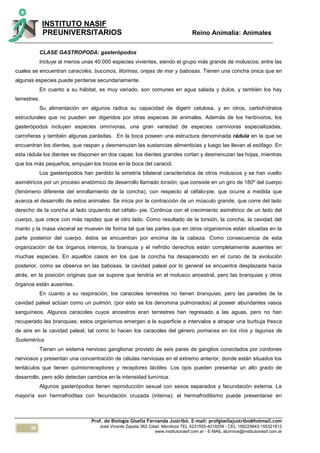 30
INSTITUTO NASIF
PREUNIVERSITARIOS Reino Animalia: Animales
Prof. de Biología Gisella Fernanda Justribó. E-mail: profgisellajustribo@hotmail.com
José Vicente Zapata 362 Cdad. Mendoza TEL 4231555-4219259 - CEL 156225843-155321812
www.institutonasif.com.ar - E-MAIL alumnos@institutonasif.com.ar
CLASE GASTROPODA: gasterópodos
Incluye al menos unas 40.000 especies vivientes, siendo el grupo más grande de moluscos; entre las
cuales se encuentran caracoles, buccinos, litorinas, orejas de mar y babosas. Tienen una concha única que en
algunas especies puede perderse secundariamente.
En cuanto a su hábitat, es muy variado, son comunes en agua salada y dulce, y también los hay
terrestres.
Su alimentación en algunos radica su capacidad de digerir celulosa, y en otros, carbohidratos
estructurales que no pueden ser digeridos por otras especies de animales. Además de los herbívoros, los
gasterópodos incluyen especies omnívoras, una gran variedad de especies carnívoras especializadas,
carroñeras y también algunas parásitas. En la boca poseen una estructura denominada rádula en la que se
encuentran los dientes, que raspan y desmenuzan las sustancias alimenticias y luego las llevan al esófago. En
esta rádula los dientes se disponen en dos capas: los dientes grandes cortan y desmenuzan las hojas, mientras
que los más pequeños, empujan los trozos en la boca del caracol.
Los gasterópodos han perdido la simetría bilateral característica de otros moluscos y se han vuelto
asimétricos por un proceso anatómico de desarrollo llamado torsión, que consiste en un giro de 180º del cuerpo
(fenómeno diferente del enrollamiento de la concha), con respecto al céfalo-pie, que ocurre a medida que
avanza el desarrollo de estos animales. Se inicia por la contracción de un músculo grande, que corre del lado
derecho de la concha al lado izquierdo del céfalo- pie. Continúa con el crecimiento asimétrico de un lado del
cuerpo, que crece con más rapidez que el otro lado. Como resultado de la torsión, la concha, la cavidad del
manto y la masa visceral se mueven de forma tal que las partes que en otros organismos están situadas en la
parte posterior del cuerpo, éstos se encuentran por encima de la cabeza. Como consecuencia de esta
organización de los órganos internos, la branquia y el nefridio derechos están completamente ausentes en
muchas especies. En aquellos casos en los que la concha ha desaparecido en el curso de la evolución
posterior, como se observa en las babosas, la cavidad paleal por lo general se encuentra desplazada hacia
atrás, en la posición originas que se supone que tendría en el molusco ancestral, pero las branquias y otros
órganos están ausentes.
En cuanto a su respiración, los caracoles terrestres no tienen branquias, pero las paredes de la
cavidad paleal actúan como un pulmón, (por esto se los denomina pulmonados) al poseer abundantes vasos
sanguíneos. Algunos caracoles cuyos ancestros eran terrestres han regresado a las aguas, pero no han
recuperado las branquias; estos organismos emergen a la superficie a intervalos a atrapar una burbuja fresca
de aire en la cavidad paleal, tal como lo hacen los caracoles del género pomacea en los ríos y lagunas de
Sudamérica.
Tienen un sistema nervioso ganglionar provisto de seis pares de ganglios conectados por cordones
nerviosos y presentan una concentración de células nerviosas en el extremo anterior, donde están situados los
tentáculos que tienen quimiorreceptores y receptores táctiles. Los ojos pueden presentar un alto grado de
desarrollo, pero sólo detectan cambios en la intensidad lumínica.
Algunos gasterópodos tienen reproducción sexual con sexos separados y fecundación externa. La
mayoría son hermafroditas con fecundación cruzada (interna); el hermafroditismo puede presentarse en
 