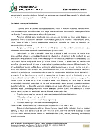 37
INSTITUTO NASIF
PREUNIVERSITARIOS Reino Animalia: Animales
Prof. de Biología Gisella Fernanda Justribó. E-mail: profgisellajustribo@hotmail.com
José Vicente Zapata 362 Cdad. Mendoza TEL 4231555-4219259 - CEL 156225843-155321812
www.institutonasif.com.ar - E-MAIL alumnos@institutonasif.com.ar
sanguijuelas ha demostrado inhibir la dispersión de las células malignas en el cáncer de pulmón. Al igual que la
lombriz de tierra las sanguijuelas son hermafroditas.
FILUM ARTHROPODA (artrópodos):
Contiene a más de un millón de especies descritas, siendo el filum más numeroso del reino animal.
Son animales con pies articulados, viven en la mayor variedad de hábitat y consumen la más amplia variedad
de alimentos. Presentan como características más destacadas:
- Apéndices articulado pares: en algunos artrópodos como los ciempiés, que tienen un par de patas en
casi todo el cuerpo, los apéndices articulados tienen medidas y estructuras uniformes. Funcionan como remos,
patas, partes bucales u órganos reproductores secundarios, mediante los cuales se transfieren los
espermatozoides a la hembra.
- Cuerpo segmentado: (parecido al de los anélidos) los segmentos pueden fusionarse en grupos
funcionales denominados tagmatas (proceso de tagmosis ya mencionado).
- Exoesqueleto: es duro y articulado, cubre todo el cuerpo y está compuesto por quitina. Este
exoesqueleto o cutícula es secretado por la epidermis subyacente y está adherido a ella; constituido por una
capa externa, frecuentemente cérea, compuesta de lípidos y lipoproteínas; una capa media endurecida y una
capa interna flexible, compuestas ambas por quitina y otras proteínas. El exoesqueleto no sólo cubre la
superficie externa del animal, sino que se extiende interiormente por ambos extremos del tubo digestivo (los
artrópodos al igual que los anélidos tienen un intestino tubular que comienza en la boca y termina en el ano).
Tiene como funciones: servir de apoyo a las inserciones musculares, cubrir la superficie del animal; extenderse
formando los extremos del tubo digestivo (y en los insectos, también forma las tráqueas, tubos respiratorios);
protegerlos de los depredadores; no permitir el ingreso ni egreso de agua, prevenir la desecación ya que es
impermeable; intervenir en la trituración de alimentos en el intestino anterior; estar presente en alas y en pelos
táctiles; formar los lentes del ojo de los artrópodos. Tiene como desventaja no crecer como lo hace el
endoesqueleto óseo de los vertebrados, por eso debe ser descartado y vuelto a formar, varias veces a medida
que el animal crece y se desarrolla; justamente este proceso que lleva a la formación de una nueva cutícula se
denomina muda. Controlada por hormonas como la ecdisona. La muda culmina en la ecdisis, en la cual el
animal, tragando agua o aire, se hincha y rasga el debilitado exoesqueleto viejo.
- Organización corporal: los cuerpos de los artrópodos están divididos en tres regiones:
 Cabeza (formada por 4 a 6 segmentos)
 Tórax (formado por un número variable de segmentos)
 Abdomen (formado por un número variable de segmentos)
Cada artrópodo tiene un número fijo de segmentos que mantienen durante toda su vida.
- Sistema circulatorio vascular, abierto y lacunar: (como la mayoría de los moluscos) tienen un corazón
dorsal y la mayor parte de la cavidad del cuerpo funciona como hemocele, retornando la sangre hacia el
corazón a través de aberturas con válvulas. El celoma verdadero queda, por esto, reducido y circunscrito al
aparato reproductor.
 
