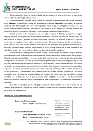 38
INSTITUTO NASIF
PREUNIVERSITARIOS Reino Animalia: Animales
Prof. de Biología Gisella Fernanda Justribó. E-mail: profgisellajustribo@hotmail.com
José Vicente Zapata 362 Cdad. Mendoza TEL 4231555-4219259 - CEL 156225843-155321812
www.institutonasif.com.ar - E-MAIL alumnos@institutonasif.com.ar
- Sistema digestivo: tienen un intestino tubular que comienza en la boca y termina en el ano, donde
ambos extremos cubiertos por cutícula cerosa.
- Sistema respiratorio: disponen de un sistema de conductos de aire tapizados por cutícula, conocidos
como tráqueas, en ella el aire ingresa, por aberturas denominadas espiráculos, por difusión, y luego es
conducido a las distintas partes del cuerpo a lo largo de las tráqueas (algunos artrópodos terrestres, como las
arañas, tienen pulmones laminares, adicionales a las tráqueas o en su reemplazo). De todas maneras, en
general: los acuáticos respiran por branquias; y los terrestres a través de pulmones laminares.
- Aparato excretor: en los insectos se hace por medio de túbulos de Malpighi, que son tubos ciegos,
largos y delgados, que surgen como evaginaciones del intestino y absorben los desechos nitrogenados y los
descargan en el intestino posterior; además existen otras variedades de sistemas de excreción en otros
artrópodos. Los crustáceos tienen órganos pares de excreción ubicados en la cabeza que desembocan por un
corto conducto a un poro excretor (también en la cabeza); los quelíceros tiene glándulas coxales para su
excreción, pequeñas bolsas esféricas sumergidas en la sangre que se abren sobre la parte posterior de los
apéndices –coxas- , que por su origen y estructura se asemejan a la de los crustáceos.
- Sistema nervioso: (complejo similar al de los anélidos), compuesto por tres pares de ganglios dorsales
fusionados que forman el cerebro y una cadena ganglionar ventral, que porta un par de ganglios por segmento.
El cerebro (ganglio supraesofágico) y el primer ganglio de la cadena nerviosa ventral (ganglio subesofágico) se
unen por medio de cordones nerviosos que rodean el esófago formando un anillo periesofágico (en algunos los
ganglios segmentales pueden fusionarse en distintas combinaciones). Tienen una gran variedad de órganos
sensoriales bien desarrollados: ojos compuestos con unidades fotorreceptoras independientes, los omatidios,
órganos de la audición, antenas sensibles al tacto y a las sustancias químicas y células sensibles al tacto en la
superficie del cuerpo. El cerebro es el centro principal de asociación de los estímulos que llegan de los órganos
sensoriales y de integración de varias actividades; sin embargo, del mismo modo que los anélidos, muchas
actividades son controladas a nivel de cada segmento. En los artrópodos el cerebro no suele funcionar como
estimulador sino más bien como inhibidor, permitiendo el vuelo, apareamiento o la construcción de telarañas o
colmenas.
- Evolución: se considera que los artrópodos descienden de los anélidos o de los ancestros de los
anélidos. Los artrópodos Trilobites son los más primitivos que se conocen, artrópodos marinos extintos, que
pertenecen a la era paleozoica.
División del filum: subfilums y clases
Subphyllum Trilobitomorpha
Clase Trilobita: Trilobites fósiles
Subphyllum Chelicerata
Clase Merostomata: Cacerolas de mar
Clase Pycnogonida: Arañas de mar
Artrópodos marinos extintos,
cubiertos por un caparazón
duro segmentado. Cabeza,
tórax y abdomen. Par de
apéndices segmentados.
El primer par de apéndices
son los quelicéros.
 