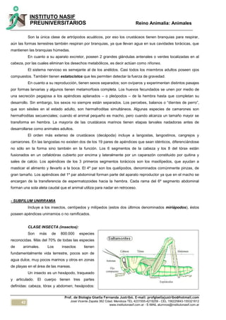 42
INSTITUTO NASIF
PREUNIVERSITARIOS Reino Animalia: Animales
Prof. de Biología Gisella Fernanda Justribó. E-mail: profgisellajustribo@hotmail.com
José Vicente Zapata 362 Cdad. Mendoza TEL 4231555-4219259 - CEL 156225843-155321812
www.institutonasif.com.ar - E-MAIL alumnos@institutonasif.com.ar
Son la única clase de artrópodos acuáticos, por eso los crustáceos tienen branquias para respirar,
aún las formas terrestres también respiran por branquias, ya que llevan agua en sus cavidades torácicas, que
mantienen las branquias húmedas.
En cuanto a su aparato excretor, poseen 2 grandes glándulas antenales o verdes localizadas en al
cabeza, por las cuales eliminan los desechos metabólicos, es decir actúan como riñones.
El sistema nervioso es semejante al de los anélidos. Casi todos los miembros adultos poseen ojos
compuestos. También tienen estatocistos que les permiten detectar la fuerza de gravedad.
En cuanto a su reproducción, tienen sexos separados; son ovíparos y experimentan distintos pasajes
por formas larvarias y algunos tienen metamorfosis completa. Los huevos fecundados se unen por medio de
una secreción pegajosa a los apéndices aplanados – o pleópodos – de la hembra hasta que completan su
desarrollo. Sin embargo, los sexos no siempre están separados. Los percebes, balanos o “dientes de perro”,
que son sésiles en el estado adulto, son hermafroditas simultáneos. Algunas especies de camarones son
hermafroditas secuenciales; cuando el animal pequeño es macho, pero cuando alcanza un tamaño mayor se
transforma en hembra. La mayoría de las crustáceos marinos tienen etapas larvales nadadoras antes de
desarrollarse como animales adultos.
El orden más extenso de crustáceos (decápoda) incluye a langostas, langostinos, cangrejos y
camarones. En las langostas no existen dos de los 19 pares de apéndices que sean idénticos, diferenciándose
no sólo en la forma sino también en la función. Los 6 segmentos de la cabeza y los 8 del tórax están
fusionados en un cefalotórax cubierto por encima y lateralmente por un caparazón constituido por quitina y
sales de calcio. Los apéndices de los 3 primeros segmentos torácicos son los maxilípedos, que ayudan a
masticar el alimento y llevarlo a la boca. El 4º par son los quelípodos, denominados comúnmente pinzas, de
gran tamaño. Los apéndices del 1º par abdominal forman parte del aparato reproductor ya que en el macho se
encargan de la transferencia de espermatozoides hacia la hembra. Cada rama del 6º segmento abdominal
forman una sola aleta caudal que el animal utiliza para nadar en retroceso.
- SUBFILUM UNIRRAMIA
Incluye a los insectos, centípedos y milípedos (estos dos últimos denominados miriápodos), éstos
poseen apéndices unirramios o no ramificados.
CLASE INSECTA (insectos):
Son más de 800.000 especies
reconocidas. Más del 70% de todas las especies
de animales. Los insectos tienen
fundamentalmente vida terrestre, pocos son de
agua dulce, muy pocos marinos y otros en zonas
de playas en el área de las mareas.
Un insecto es un hexápodo, traqueado
y articulado. El cuerpo tienen tres partes
definidas: cabeza, tórax y abdomen; hexápodos:
 