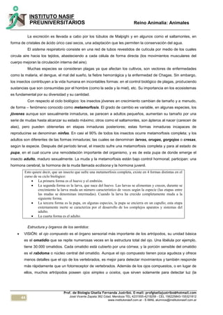 44
INSTITUTO NASIF
PREUNIVERSITARIOS Reino Animalia: Animales
Prof. de Biología Gisella Fernanda Justribó. E-mail: profgisellajustribo@hotmail.com
José Vicente Zapata 362 Cdad. Mendoza TEL 4231555-4219259 - CEL 156225843-155321812
www.institutonasif.com.ar - E-MAIL alumnos@institutonasif.com.ar
La excreción es llevada a cabo por los túbulos de Malpighi y en algunos como el saltamontes, en
forma de cristales de ácido úrico casi secos, una adaptación que les permiten la conservación del agua.
El sistema respiratorio consiste en una red de tubos revestidos de cutícula por medio de los cuales
circula aire hacia los tejidos, abasteciendo a cada célula de forma directa (los movimientos musculares del
cuerpo mejoran la circulación interna del aire).
Muchas especies se consideran plagas ya que afectan los cultivos, son vectores de enfermedades
como la malaria, el dengue, el mal del sueño, la fiebre hemorrágica y la enfermedad de Chagas. Sin embargo,
los insectos contribuyen a la vida humana en incontables formas: en el control biológico de plagas, produciendo
sustancias que son consumidas por el hombre (como la seda y la miel), etc. Su importancia en los ecosistemas
es fundamental por su diversidad y su cantidad.
Con respecto al ciclo biológico: los insectos jóvenes en crecimiento cambian de tamaño y a menudo,
de forma – fenómeno conocido como metamorfosis. El grado de cambio es variable, en algunas especies, los
jóvenes aunque son sexualmente inmaduros, se parecen a adultos pequeños, aumentan su tamaño por una
serie de mudas hasta alcanzar su estado máximo; otros como el saltamontes, son ápteros al nacer (carecen de
alas), pero pueden obtenerlas en etapas inmaduras posteriores; estas formas inmaduras incapaces de
reproducirse se denominan ninfas. En casi el 90% de todos los insectos ocurre metamorfosis completa; y los
adultos son diferentes de las formas inmaduras; las cuales se denominan larvas, orugas, gorgojos o cresas,
según la especie. Después del período larval, el insecto sufre una metamorfosis completa y para al estado de
pupa, en el cual ocurre una remodelación importante del organismo, y es de esta pupa de donde emerge el
insecto adulto, maduro sexualmente. La muda y la metamorfosis están bajo control hormonal; participan: una
hormona cerebral, la hormona de la muda llamada ecdisona y la hormona juvenil.
Esto quiere decir, que un insecto que sufre una metamorfosis completa, existe en 4 formas distintas en el
curso de su ciclo biológico:
 La primera forma es el huevo y el embrión.
 La segunda forma es la larva, que nace del huevo. Las larvas se alimentan y crecen, durante se
crecimiento la larva muda un número característico de veces según la especie (las etapas entre
las mudas se denominan intermudas). Cuando la larva ha crecido completamente muda a la
siguiente forma.
 La tercera forma es la pupa, en algunas especies, la pupa se encierra en un capullo; esta etapa
externamente inerte se caracteriza por el desarrollo de los complejos aparatos y sistemas del
adulto.
 La cuarta forma es el adulto.
Estructura y órganos de los sentidos:
 VISIÓN: el ojo compuesto es el órgano sensorial más importante de los artrópodos, su unidad básica
es el omatidio que se repite numerosas veces en la estructura total del ojo. Una libélula por ejemplo,
tiene 30.000 omatidios. Cada omatidio está cubierto por una córnea; y la porción sensible del omatidio
es el rabdoma o núcleo central del omatidio. Aunque el ojo compuesto tienen poca agudeza y ofrece
menos detalles que el ojo de los vertebrados, es mejor para detectar movimientos y también responde
más rápidamente que un fotorreceptor de vertebrados. Además de los ojos compuestos, o en lugar de
ellos, muchos artrópodos poseen ojos simples u ocelos, que sirven solamente para detectar luz (la
 