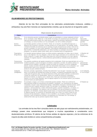 47
INSTITUTO NASIF
PREUNIVERSITARIOS Reino Animalia: Animales
Prof. de Biología Gisella Fernanda Justribó. E-mail: profgisellajustribo@hotmail.com
José Vicente Zapata 362 Cdad. Mendoza TEL 4231555-4219259 - CEL 156225843-155321812
www.institutonasif.com.ar - E-MAIL alumnos@institutonasif.com.ar
FILUM MENORES DE PROTOSTOMADOS:
Además de los tres filum principales de los celomados protostomados (moluscos, anélidos y
artrópodos), hay seis filum menores con representantes vivientes, que se resumen en el siguiente cuadro:
Lofoforados
Los animales de los tres filum conocidos dentro de este grupo son estrictamente protostomados, sin
embargo, poseen otras características que indujeron a muchos especialistas a considerarlos como
deuterostomados primitivos. El celoma de las formas adultas de algunas especies y de los embriones de la
mayoría de ellas está dividido en varios compartimientos principales.
 