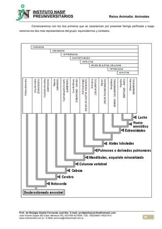 49
INSTITUTO NASIF
PREUNIVERSITARIOS Reino Animalia: Animales
Prof. de Biología Gisella Fernanda Justribó. E-mail: profgisellajustribo@hotmail.com
José Vicente Zapata 362 Cdad. Mendoza TEL 4231555-4219259 - CEL 156225843-155321812
www.institutonasif.com.ar - E-MAIL alumnos@institutonasif.com.ar
Comenzaremos con los dos primeros que se caracterizan por presentar faringe perforada y luego
veremos los dos más representativos del grupo: equinodermos y cordados.
 