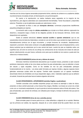 53
INSTITUTO NASIF
PREUNIVERSITARIOS Reino Animalia: Animales
Prof. de Biología Gisella Fernanda Justribó. E-mail: profgisellajustribo@hotmail.com
José Vicente Zapata 362 Cdad. Mendoza TEL 4231555-4219259 - CEL 156225843-155321812
www.institutonasif.com.ar - E-MAIL alumnos@institutonasif.com.ar
manchas son los únicos órganos sensoriales propiamente dichos, además de contener en su epidermis células
neurotransmisoras vinculadas al tacto, la fotorrecepción y la quimiorrecepción.
En cuanto a la reproducción, se realiza mediante sexos separados en la mayoría de los
equinodermos, pero algunos asteroideos son ocasionalmente hermafroditas. Tienen fecundación y desarrollos
externos. Presentan un par de glándulas sexuales por cada brazos o rama.
La respiración se lleva a cabo por branquias dérmicas, numerosas proyecciones dactiliformes
pequeñas protegidas por espinas.
La excreción está a cargo de células ameboides que circulan en el fluido celómico capturando los
desechos y escapando luego a través de las delgadas paredes de las branquias dérmicas, donde estos
desperdicios son eyectados.
Existe un carácter estructural, sistema vascular acuífero o aparato ambulacral, que es una
característica única de todos los Asteroideos; consiste en una red de tubos cuya cavidad de origen celómico es
hidrostáticamente continua con el agua circundante, y cumple funciones de circulación, desplazamiento,
respiración y excreción. Estos tubos conducen a los pies ambulacrales (sirven para el desplazamiento y como
discos suctorios) que se exteriorizan por la cara ventral del brazo, cuando los pies se implantan sobre una
superficie dura, tal como la concha de una almeja, las contracciones de los músculos de la base de cada pie
ejercen colectivamente una gran fuerza, suficiente como para que la estrella de mar avance o pueda abrir las
valvas de un molusco bivalvo.
CLASE ECHINOIDEOS (erizos de mar y dólares de arena):
Diminutos miembros recientemente descubiertos que no poseen brazos, presentan un plan corporal
pentámero claramente visible en las cinco áreas que llevan los pies ambulacrales y que se extienden a través
del robusto y rígido esqueleto. Como en las estrellas de mar los pies ambulacrales participan
fundamentalmente en la marcha. Los erizos están formados por espinas móviles y algunas especies tienen
glándulas venenosas ocultas entre las espinas. También están equipados con un aparato mandibular
denominado linterna de Aristóteles con el que desprenden algas y otros materiales orgánicos que se adhieren
al sustrato, forzando las partículas hacia el sistema digestivo del animal.
CLASE OPHIUROIDEOS u OFIUROIDEOS (estrellas frágiles o quebradizas):
También conocidas como estrellas serpientes porque sus brazos se asemejan a colas de víbora,
presentan un disco central subcircular y cinco brazos finos, largos y flexibles. Los brazos se curvan de un lado
a otro con un movimiento serpenteante, lo que le permite al animal arrastrarse sobre el fondo del océano. Sus
pies ambulacrales, que carecen de ventosas, son utilizados para recoger y manejar el alimento más que para la
locomoción.
CLASE CRINOIDEOS (lirios de mar y estrellas pluma):
Estos animales pasan al menos parte de sus u vidas adheridos o colgando de un sustrato. Mientras
que los primeros son sésiles, las segundas, después de un corto estadio larval fijo pueden llevar una vida
 