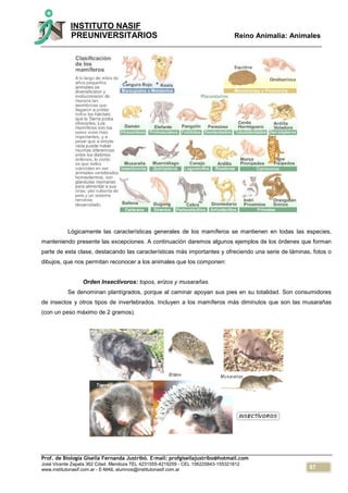67
INSTITUTO NASIF
PREUNIVERSITARIOS Reino Animalia: Animales
Prof. de Biología Gisella Fernanda Justribó. E-mail: profgisellajustribo@hotmail.com
José Vicente Zapata 362 Cdad. Mendoza TEL 4231555-4219259 - CEL 156225843-155321812
www.institutonasif.com.ar - E-MAIL alumnos@institutonasif.com.ar
Lógicamente las características generales de los mamíferos se mantienen en todas las especies,
manteniendo presente las excepciones. A continuación daremos algunos ejemplos de los órdenes que forman
parte de esta clase, destacando las características más importantes y ofreciendo una serie de láminas, fotos o
dibujos, que nos permitan reconocer a los animales que los componen:
Orden Insectívoros: topos, erizos y musarañas.
Se denominan plantígrados, porque al caminar apoyan sus pies en su totalidad. Son consumidores
de insectos y otros tipos de invertebrados. Incluyen a los mamíferos más diminutos que son las musarañas
(con un peso máximo de 2 gramos).
 