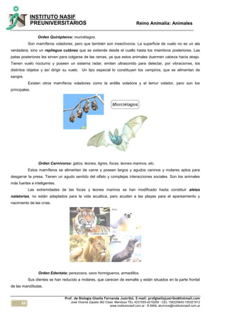 68
INSTITUTO NASIF
PREUNIVERSITARIOS Reino Animalia: Animales
Prof. de Biología Gisella Fernanda Justribó. E-mail: profgisellajustribo@hotmail.com
José Vicente Zapata 362 Cdad. Mendoza TEL 4231555-4219259 - CEL 156225843-155321812
www.institutonasif.com.ar - E-MAIL alumnos@institutonasif.com.ar
Orden Quirópteros: murciélagos.
Son mamíferos voladores, pero que también son insectívoros. La superficie de vuelo no es un ala
verdadera, sino un repliegue cutáneo que se extiende desde el cuello hasta los miembros posteriores. Las
patas posteriores les sirven para colgarse de las ramas, ya que estos animales duermen cabeza hacia abajo.
Tienen vuelo nocturno y poseen un sistema radar, emiten ultrasonido para detectar, por vibraciones, los
distintos objetos y así dirigir su vuelo. Un tipo especial lo constituyen los vampiros, que se alimentan de
sangre.
Existen otros mamíferos voladores como la ardilla voladora y el lemur volador, pero son los
principales.
Orden Carnívoros: gatos, leones, tigres, focas, leones marinos, etc.
Estos mamíferos se alimentan de carne y poseen largos y agudos caninos y molares aptos para
desgarrar la presa. Tienen un agudo sentido del olfato y complejas interacciones sociales. Son los animales
más fuertes e inteligentes.
Las extremidades de las focas y leones marinos se han modificado hasta constituir aletas
natatorias, no están adaptados para la vida acuática, pero acuden a las playas para el apareamiento y
nacimiento de las crías.
Orden Edentata: perezosos, osos hormigueros, armadillos.
Sus dientes se han reducido a molares, que carecen de esmalte y están situados en la parte frontal
de las mandíbulas.
 