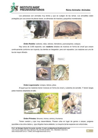 69
INSTITUTO NASIF
PREUNIVERSITARIOS Reino Animalia: Animales
Prof. de Biología Gisella Fernanda Justribó. E-mail: profgisellajustribo@hotmail.com
José Vicente Zapata 362 Cdad. Mendoza TEL 4231555-4219259 - CEL 156225843-155321812
www.institutonasif.com.ar - E-MAIL alumnos@institutonasif.com.ar
Los perezosos son animales muy lentos y que se cuelgan de las ramas. Los armadillos están
protegidos por una coraza de placas óseas, se alimentan de insectos y pequeños invertebrados.
Orden Rodetia: castores, ratas, ratones, hámsteres, puercoespines, cobayos.
Hay cerca de 3.000 especies; son roedores dotados de incisivos en forma de cincel que crecen
continuamente conforme van royendo, los dientes se desgastan, pero son repuestos. Los roedores son uno de
los de mayor difusión.
Orden Logomorpha: conejos, liebres, pikas.
Al igual que los roedores tienen incisivos en forma de cincel y cubiertos de esmalte. Y tienen largas
patas traseras adaptadas al salto.
Orden Primates: lémures, monos, simios y humanos.
Tienen cerebro y ojos muy desarrollados. Poseen uñas en lugar de garras o zarpas; pulgares
oponibles a los otros dedos y ojos dirigidos hacia adelante. La mayoría de las especies son arborícolas.
 