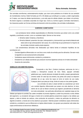 7
INSTITUTO NASIF
PREUNIVERSITARIOS Reino Animalia: Animales
Prof. de Biología Gisella Fernanda Justribó. E-mail: profgisellajustribo@hotmail.com
José Vicente Zapata 362 Cdad. Mendoza TEL 4231555-4219259 - CEL 156225843-155321812
www.institutonasif.com.ar - E-MAIL alumnos@institutonasif.com.ar
Son animales vermiformes, extremadamente simples, que viven como parásitos en el interior de una variedad
de invertebrados marinos. Están formados por 20 o 30 células que constituyen su cuerpo, y están organizadas
en 2 capas: una masa de células reproductoras, y una sola capa de células ciliadas, que rodean a la primera.
No tienen órganos o cavidades corporales de ningún tipo. Como su nombre sugiere (“animales intermedios”),
los mesozoos pueden ser formas primitivas de transición entre los protistas y los animales multicelulares.
SUBREINO: EUMETAZOOS
Los eumetazoos tienen células especializadas en diferentes funciones que actúan como una unidad
regulada y coordinada, es decir, como un verdadero tejido. Derivan en tres ramas:
 Simetría radial: Cnidarios y Ctenóforos
 Simetría bilateral: presentan dos ejes: anteroposterior y dorsoventral cuya simetría bilateral está
dada sobre el eje anteroposterior del cuerpo. Es a este linaje al que pertenecen la mayoría de
las animales (incluida nuestra propia especie).
Las características derivadas más destacadas que habría tenido el antecesor hipotético de los
eumetazoos son:
- Cavidad digestiva diferenciada con una boca como medio de entrada para los alimentos. De este modo
la digestión es casi exclusivamente extracelular
- Verdaderas capas embrionarias: ectodermo y endodermo
- Endodermis con células secretoras que producen enzimas digestivas activas en el medio extracelular
- Ausencia de coanocitos
ANIMALES CON SIMETRÍA RADIAL:
Comprende a dos filum: Cnidaria (medusas, anémonas de mar y
corales) y Ctenophora (nueces de mar). Éstos, agrupan animales
gelatinosos que, cuando alcanzan el estado de adulto, poseen generalmente
simetría radial. En este tipo de simetría, las partes del cuerpo se disponen
alrededor de un eje, como los rayos en torno al centro de una rueda.
Cualquier plano que pase por el eje, divide al cuerpo en dos partes iguales.
Los animales de estos 2 phyla también se caracterizan por tener
una cavidad digestiva diferenciada que posee una sola abertura, la boca,
dentro de la cual se liberan enzimas que digieren parcialmente el alimento
de modo extracelular. Las partículas alimenticias son captadas luego por las
células que tapizan la cavidad, las cuales completan el proceso digestivo y ceden los productos a otras células
del organismo. La circulación del agua a través de la cavidad gástrica proporciona oxígeno a las células que
tapizan y retira el dióxido de carbono, otros productos de excreción y restos de partículas de alimento no
digerido al exterior, a través de la única abertura que poseen. Además poseen verdaderas capas embrionarias:
ectodermo y endodermo que se diferencian en tejidos determinados. Los grupos que presentan solo estas dos
capas embrionarias se denominan diblásticos.
 