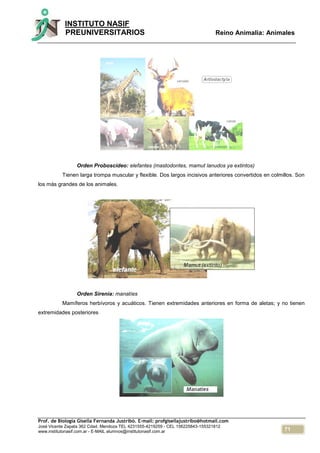 Elefante De Reposo-Nuevo y Sellado 