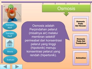 Osmosis

                                             Osmosis
                                               Pada
Transpor          Osmosis adalah            Sel Hewan
  Aktif
                Perpindahan pelarut
Transpor       (misalnya air) melalui
  Pasif           membran selektif
                                             Osmosis
            permeabel dari konsentrasi       Pada Sel
                                            Tumbuhan
                 pelarut yang tinggi
                 (hipotonik) menuju
 Movie       konsentrasi pelarut yang
                rendah (hipertonik).
                                            Animation
 Evaluasi
 