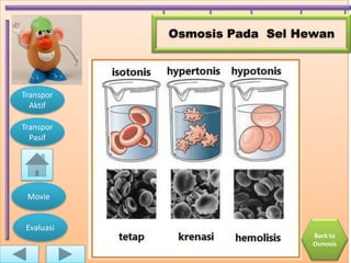 Osmosis Pada Sel Hewan




Transpor
  Aktif

Transpor
  Pasif




 Movie


 Evaluasi
                               Back to
                               Osmosis
 