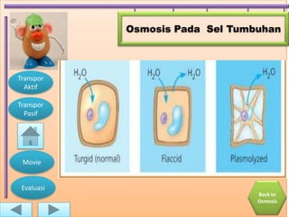 Osmosis Pada Sel Tumbuhan




Transpor
  Aktif

Transpor
  Pasif




 Movie


 Evaluasi
                                 Back to
                                 Osmosis
 