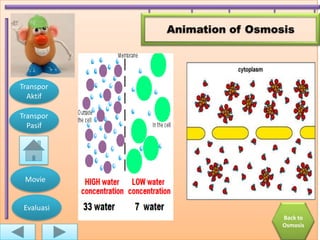 Animation of Osmosis




Transpor
  Aktif

Transpor
  Pasif




 Movie


 Evaluasi
                              Back to
                              Osmosis
 