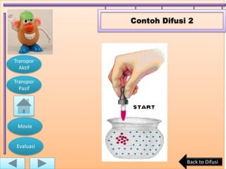 Contoh Difusi 2




Transpor
  Aktif

Transpor
  Pasif




 Movie


 Evaluasi

                         Back to Difusi
 