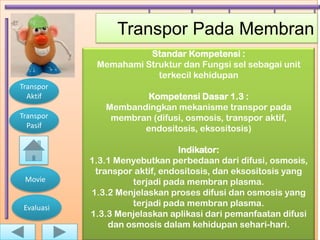 Transpor Pada Membran
                       Standar Kompetensi :
             Memahami Struktur dan Fungsi sel sebagai unit
                         terkecil kehidupan
Transpor
  Aktif                Kompetensi Dasar 1.3 :
               Membandingkan mekanisme transpor pada
Transpor        membran (difusi, osmosis, transpor aktif,
  Pasif               endositosis, eksositosis)

                                 Indikator:
            1.3.1 Menyebutkan perbedaan dari difusi, osmosis,
             transpor aktif, endositosis, dan eksositosis yang
 Movie               terjadi pada membran plasma.
            1.3.2 Menjelaskan proses difusi dan osmosis yang
 Evaluasi
                     terjadi pada membran plasma.
            1.3.3 Menjelaskan aplikasi dari pemanfaatan difusi
                dan osmosis dalam kehidupan sehari-hari.
 