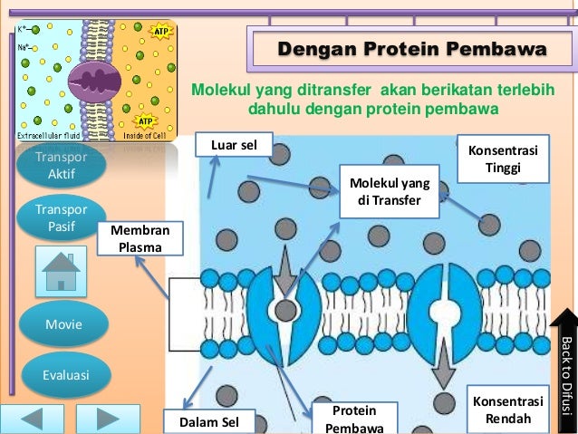 17.risyca nova pujiastuti