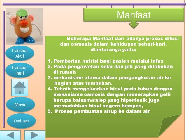 17.risyca nova pujiastuti