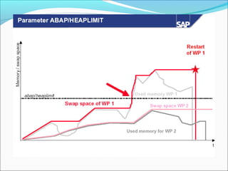 17 sap-memory-management (1)