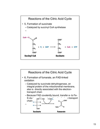 13
Reactions of the Citric Acid Cycle
• 5, Formation of succinate
– Catalyzed by succinyl CoA synthetase
–
Reactions of the Citric Acid Cycle
• 6, Formation of fumarate, an FAD-linked
oxidation
– Catalyzed by succinate dehydrogenase an– Catalyzed by succinate dehydrogenase, an
integral protein of the mitochondrial membrane,
also is directly associated with the electron-
transport chain
– Because FAD covalently bound, transfer e- to Fe-
S clusters of the protein, then to electron transportE ES clusters of the protein, then to electron transport
chain
–
E- E-
 