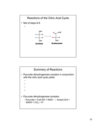 15
Reactions of the Citric Acid Cycle
• Net of steps 6-8
–
Summary of Reactions
• Pyruvate dehydrogenase complex in conjunction
with the citric acid cycle yields
––
–
–
–
• Pyruvate dehydrogenase complex:
– Pyruvate + CoA-SH + NAD+ → Acetyl-CoA +
NADH + CO2 + H+
 