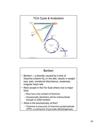 22
TCA Cycle & Anabolism
Beriberi
• Beriberi – a disorder caused by a lack of
thiamine (vitamin B1) in the diet, results in weight
loss, pain, emotional disturbance, weakness,loss, pain, emotional disturbance, weakness,
irregular heart rate
• Rare except in the Far East where rice is major
food
– Rice has a low content of thiamine
O i ll l h li ill b l i h d– Occasionally alcoholics will be malnourished
enough to suffer beriberi
• What is the biochemistry of this?
– Thiamine is precursor to thiamine pyrophosphate
(TPP), a coenzyme of pyruvate dehydrogenase,
 