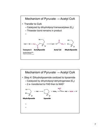 7
Mechanism of Pyruvate → Acetyl CoA
• Transfer to CoA
– Catalyzed by dihydrolipoyl transacetylase (E2)
Thioester bond remains in product– Thioester bond remains in product
–
Mechanism of Pyruvate → Acetyl CoA
• Step 4: Dihydrolipoamide oxidized to lipoamide
– Catalyzed by dihydrolipoyl dehydrogenase (E3)
2 e transferred to FAD then to NAD+– 2 e- transferred to FAD then to NAD+
–
–
 