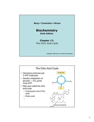 1
Berg • Tymoczko • Stryer
Biochemistry
Sixth Edition
Chapter 17:
Th Cit i A id C lThe Citric Acid Cycle
Copyright © 2007 by W. H. Freeman and Company
The Citric Acid Cycle
• Glycolysis produces just
2 ATP molecules
• Aerobic metabolism of
glucose → CO2 gives
more ATP
• Main part called the citric
acid cycle
– Tricarboxylic acid (TCA)
cyclecycle
– Krebs cycle
–
 