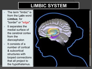  The term "limbic" is
from the Latin word
Limbus, for
"border" or "edge".
 It separates the
medial surface of
the cerebral cortex
from the
diencephalon
 It consists of a
number of cortical
& subcortical
structures with
looped connections
that all project to
the hypothalamus.
LIMBIC SYSTEM
 