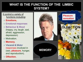 It control a variety of
functions including:
 Emotions,
 Emotional responses
 Behaviour & Mood
(happy, cry, laugh, sad,
afraid, aggression,
depression)
 Motivation.
 Memory.
 Visceral & Motor
responses involved in
(sex, pleasure, hunger,
and reproduction).
 Olfaction.
WHAT IS THE FUNCTION OF THE LIMBIC
SYSTEM?
MEMORY
OLFACTION
Pleasure
sensation
 