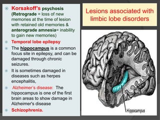  Korsakoff’s psychosis
(Retrograde = loss of new
memories at the time of lesion
with retained old memories &
anterograde amnesia= inability
to gain new memories)
 Temporal lobe epilepsy
 The hippocampus is a common
focus site in epilepsy, and can be
damaged through chronic
seizures.
 It is sometimes damaged in
diseases such as herpes
encephalitis,
 Alzheimer’s disease: The
hippocampus is one of the first
brain areas to show damage in
Alzheimer's disease
 Schizophrenia.
Lesions associated with
limbic lobe disorders
 