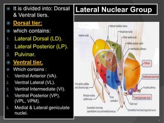 8
 It is divided into: Dorsal
& Ventral tiers.
 Dorsal tier:
 which contains:
1. Lateral Dorsal (LD).
2. Lateral Posterior (LP).
3. Pulvinar.
 Ventral tier,
 Which contains :
1. Ventral Anterior (VA).
2. Ventral Lateral (VL).
3. Ventral Intermediate (VI).
4. Ventral Posterior (VP).
(VPL, VPM).
5. Medial & Lateral geniculate
nuclei.
Lateral Nuclear Group
 