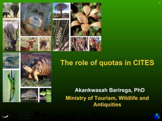 1
The role of quotas in CITES
Ministry of Tourism, Wildlife and
Antiquities
Akankwasah Barirega, PhD
 