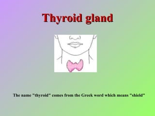 Thyroid gland The name &quot;thyroid&quot; comes from the Greek word which means &quot;shield&quot;  