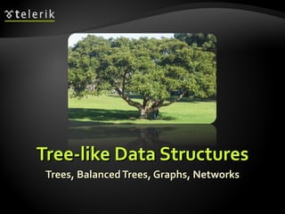 17. Trees and Graphs | PPT