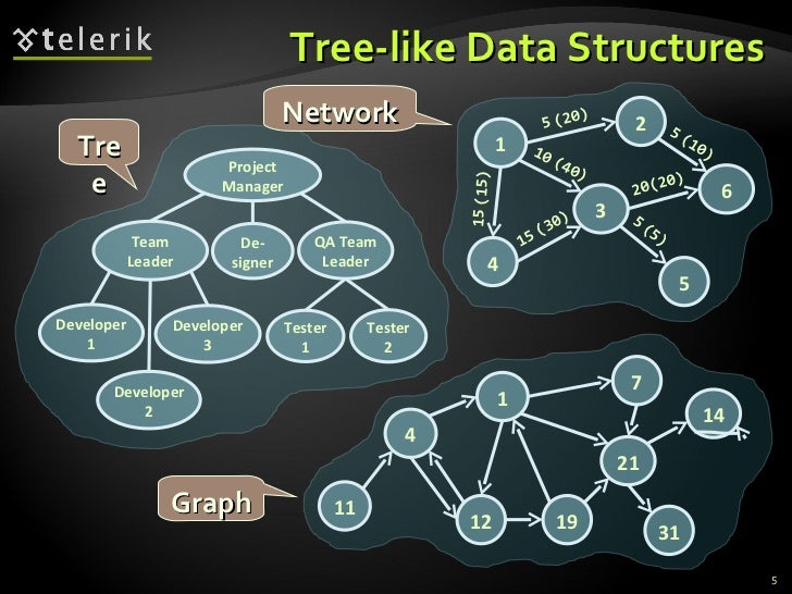 17. Trees and Graphs