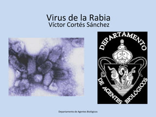 Virus de la Rabia
Víctor Cortés Sánchez




   Departamento de Agentes Biológicos
 