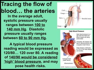 In the average adult,
systolic pressure usually
ranges between 100 to
140 mm Hg. Diastolic
pressure usually ranges
between 60 to 90 mm Hg.
A typical blood pressure
reading would be expressed as
120/80… 120 over 80. A reading
of 140/90 would be considered
‘high’ blood pressure, and may
pose health risks.
 