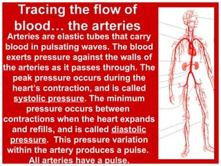 Arteries are elastic tubes that carry
blood in pulsating waves. The blood
exerts pressure against the walls of
the arteries as it passes through. The
peak pressure occurs during the
heart’s contraction, and is called
systolic pressure. The minimum
pressure occurs between
contractions when the heart expands
and refills, and is called diastolic
pressure. This pressure variation
within the artery produces a pulse.
All arteries have a pulse.
 