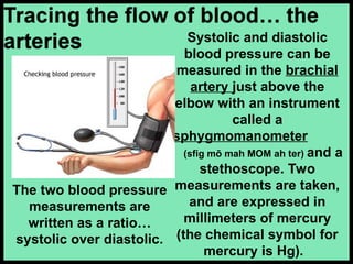 Systolic and diastolic
blood pressure can be
measured in the brachial
artery just above the
elbow with an instrument
called a
sphygmomanometer
(sfig mō mah MOM ah ter) and a
stethoscope. Two
measurements are taken,
and are expressed in
millimeters of mercury
(the chemical symbol for
mercury is Hg).
The two blood pressure
measurements are
written as a ratio…
systolic over diastolic.
 