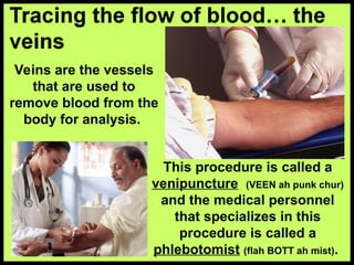 Veins are the vessels
that are used to
remove blood from the
body for analysis.
This procedure is called a
venipuncture (VEEN ah punk chur)
and the medical personnel
that specializes in this
procedure is called a
phlebotomist (flah BOTT ah mist).
 