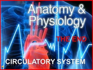 170-Anatomy-Circulatory-System-science 9