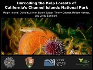 Barcoding the Kelp Forests of
 California’s Channel Islands National Park
Ralph Imondi, David Kushner, Daniel Distel, Timery Deboer, Robert Hanner,
                         and Linda Santschi
 