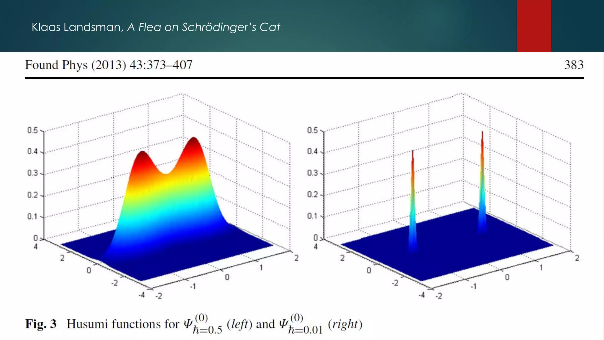 Klaas Landsman, A Flea on Schrödinger’s Cat
 