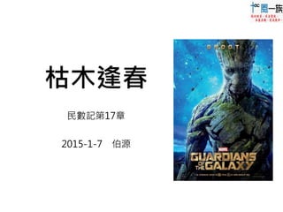 枯木逢春
民數記第17章
2015-1-7 伯源
 