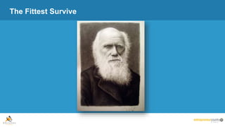 The Fittest Survive
 